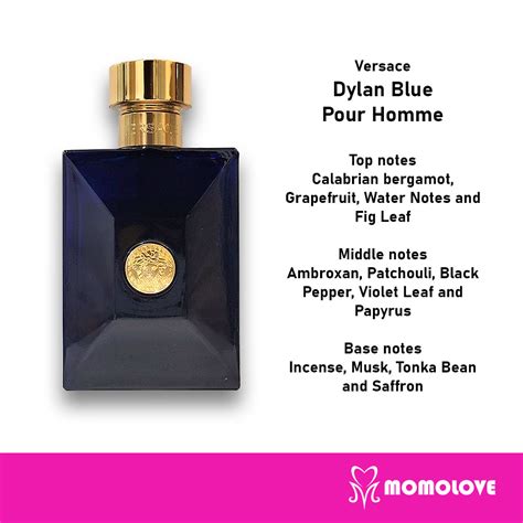 versace pour homme vs polo blue|Versace Pour Homme notes.